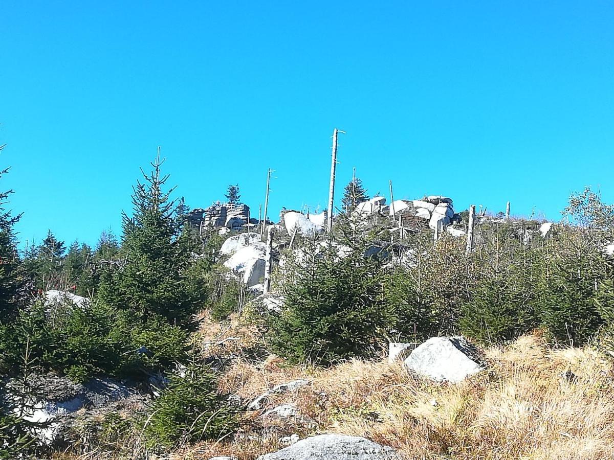 Ferienhof Schaubmeier Klaffer am Hochficht Bagian luar foto