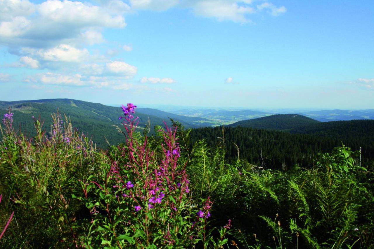 Ferienhof Schaubmeier Klaffer am Hochficht Bagian luar foto