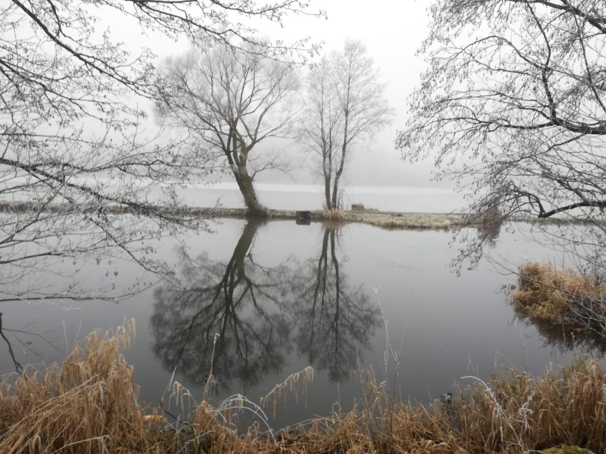 Ferienhof Schaubmeier Klaffer am Hochficht Bagian luar foto